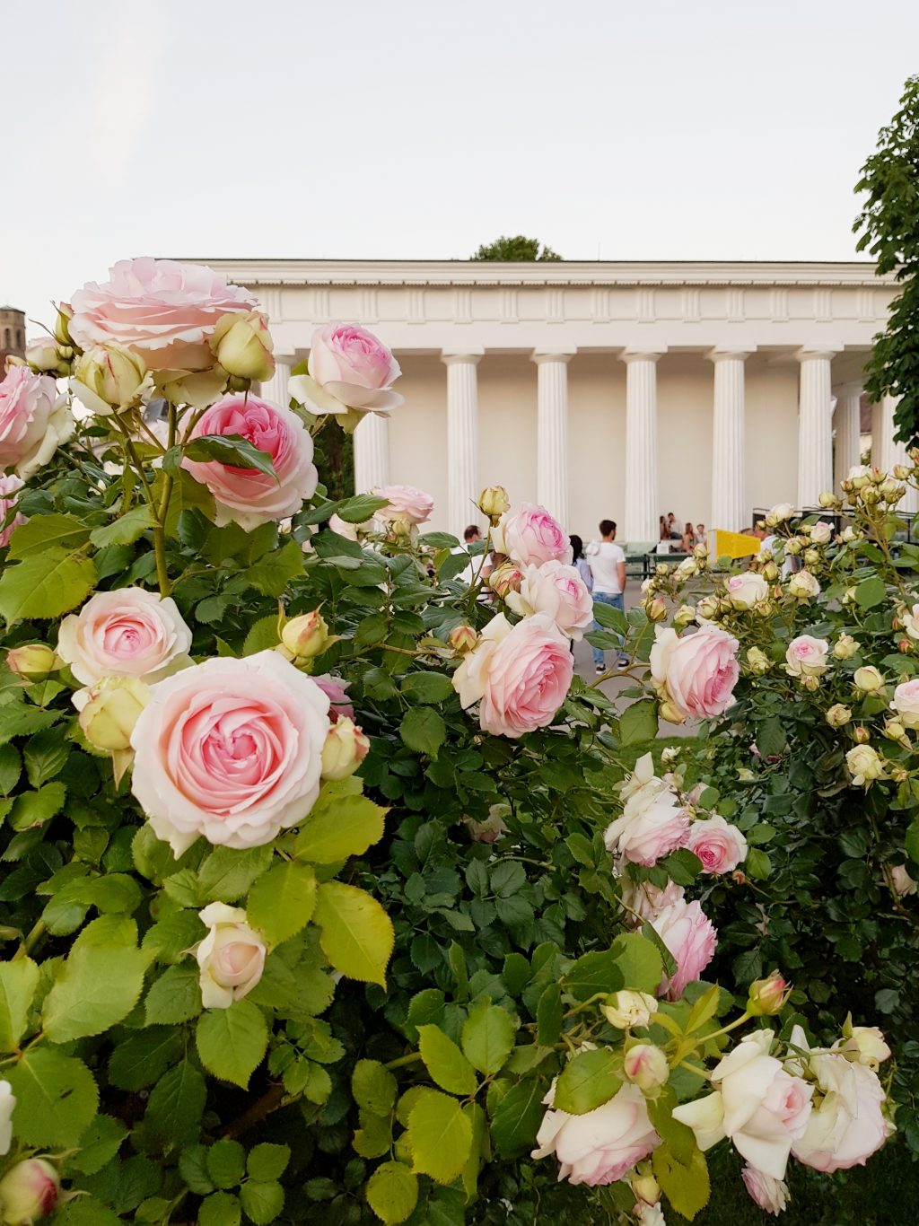 Vienna Theseus Temple