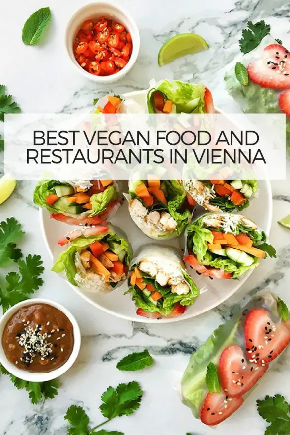 Ultimate List of the Best Vegan Restaurants/Food in Vienna, Austria