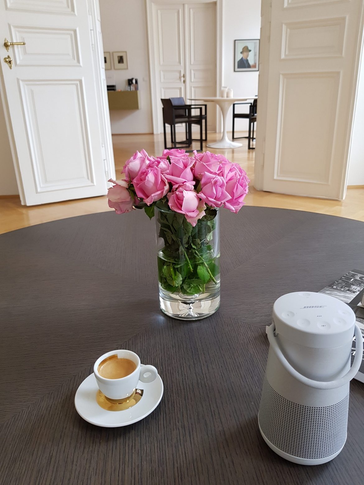 Vienna Beauty of Flowers Around the World Travel Photo Series The