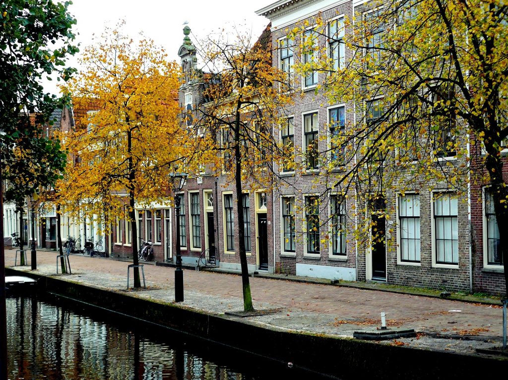 Amsterdam_Fall