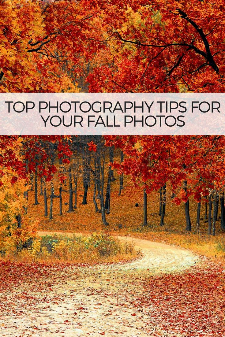 AutumnTravelPhotoTips (5)