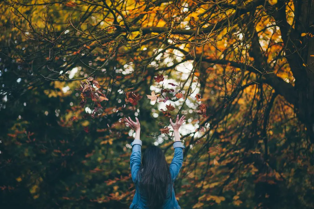 Autumn_photographytips