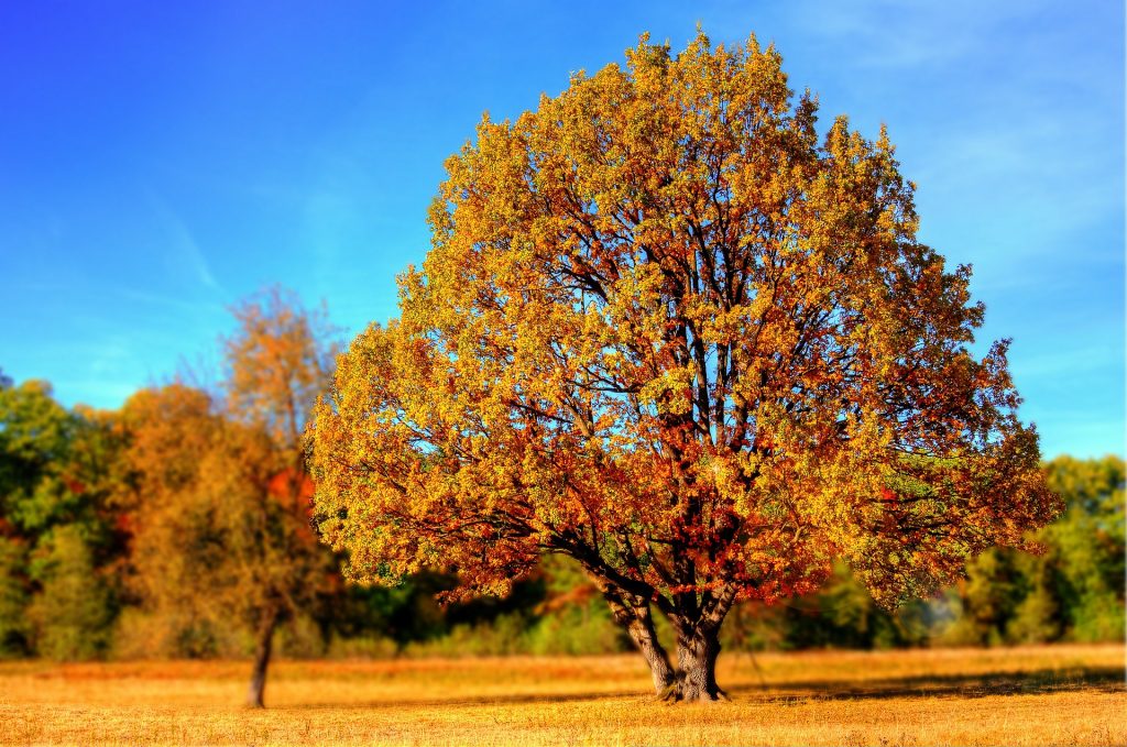 Jesenné_tipy na fotografovanie