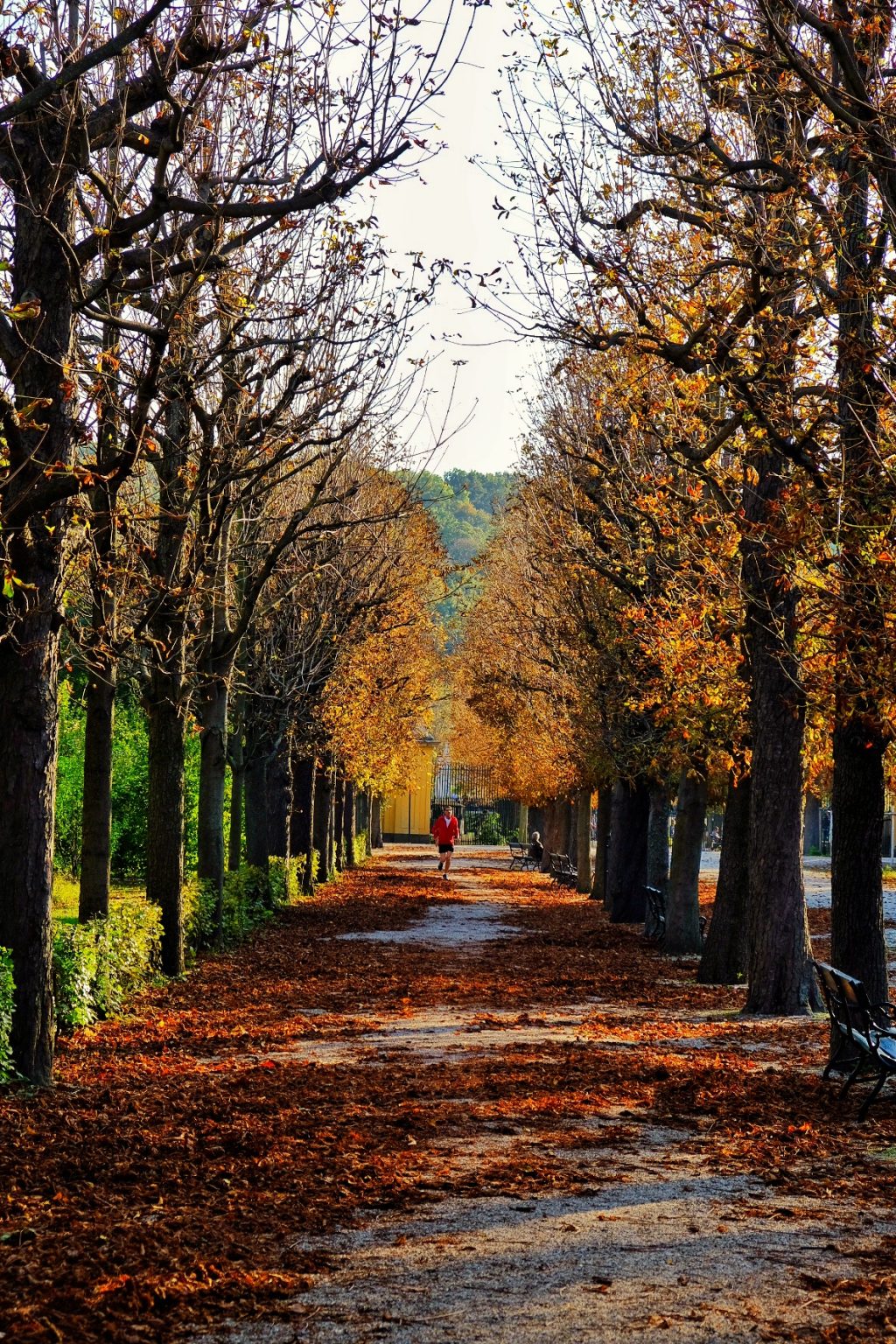 SchöbrunnPalace_theviennablogViennaAustria