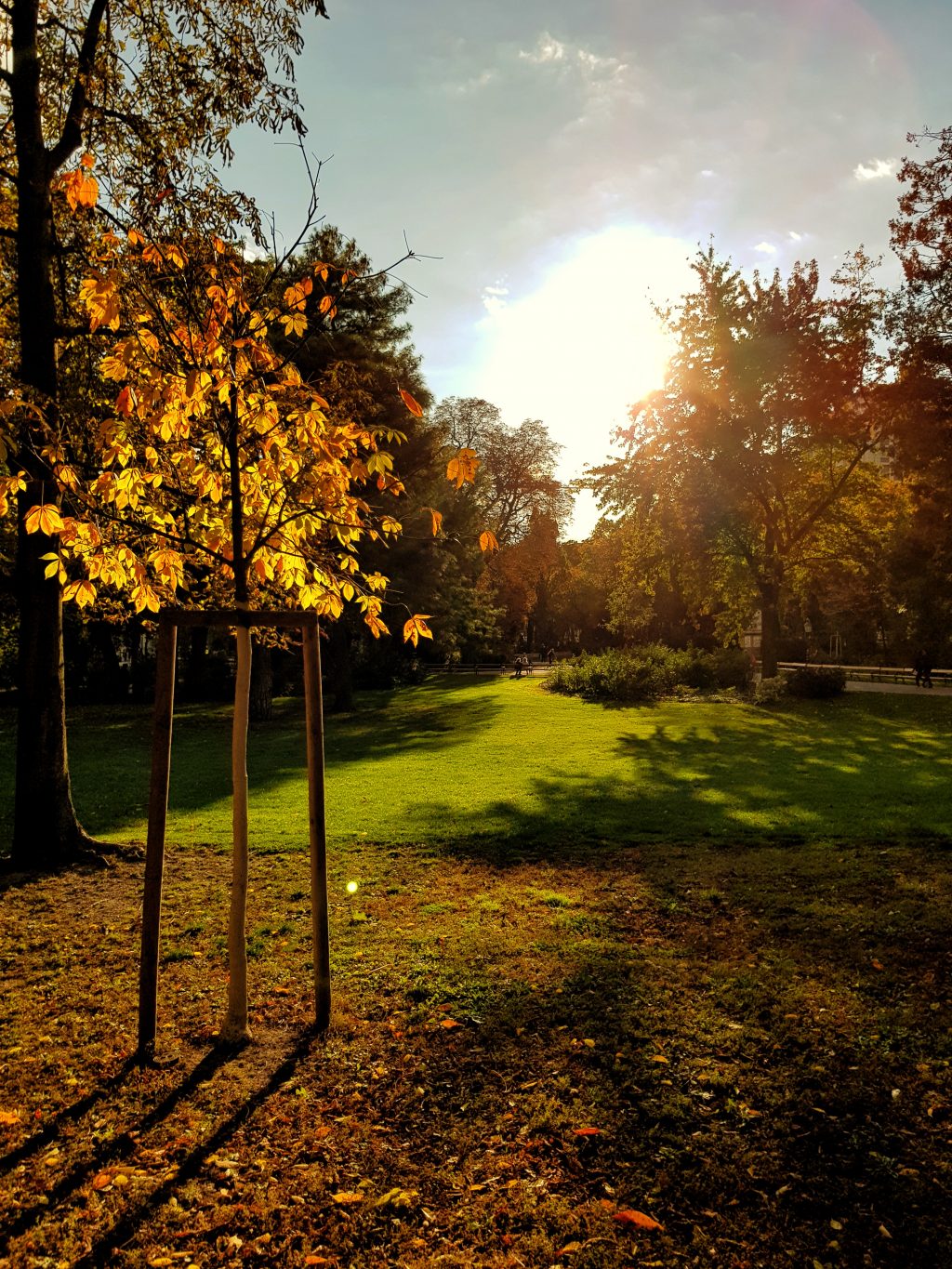 StadtParkViennaWien_theviennablog