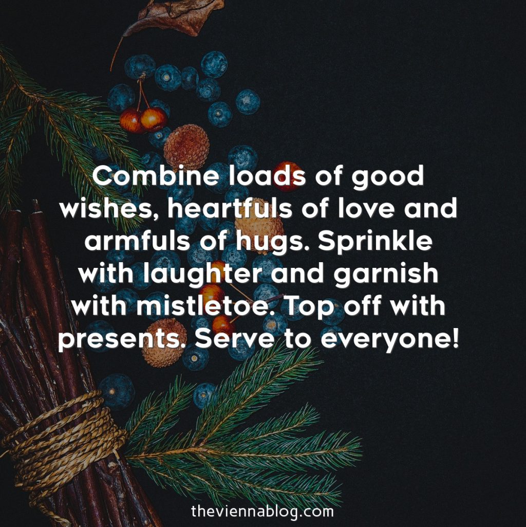 ChristmasQuotes_theviennablog