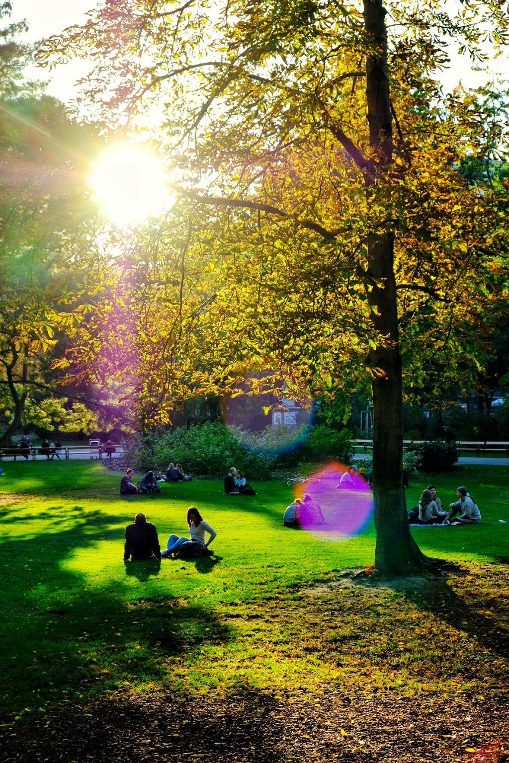 StadtParkViennaWien_theviennablog