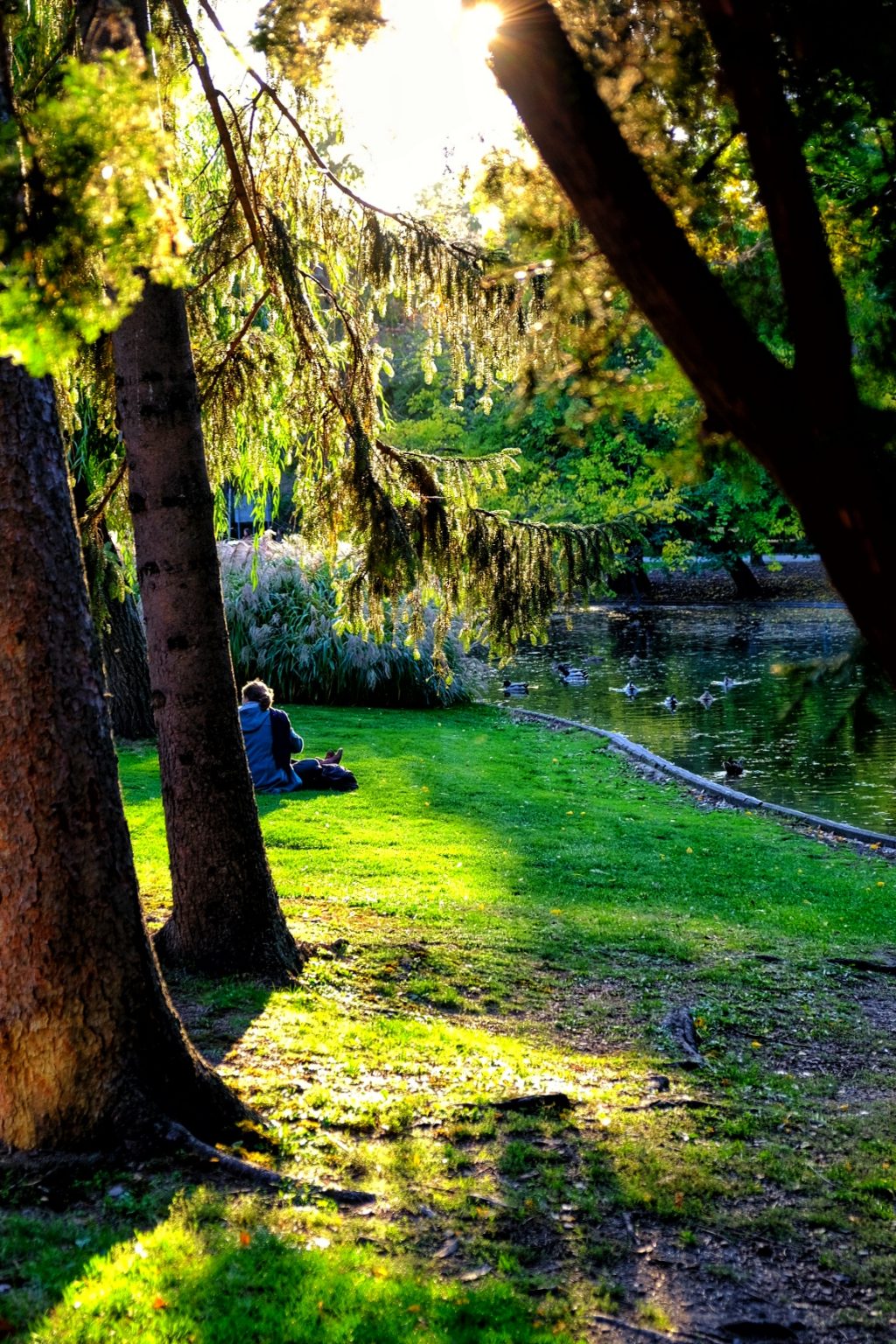 StadtParkViennaWien_theviennablog