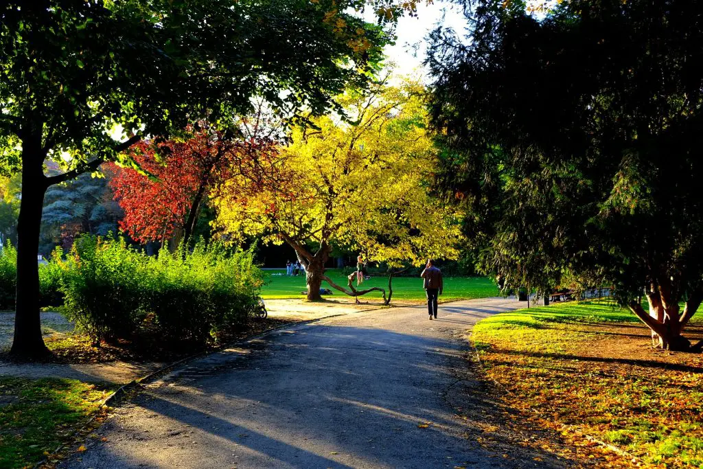 StadtParkViennaWien_theviennablog