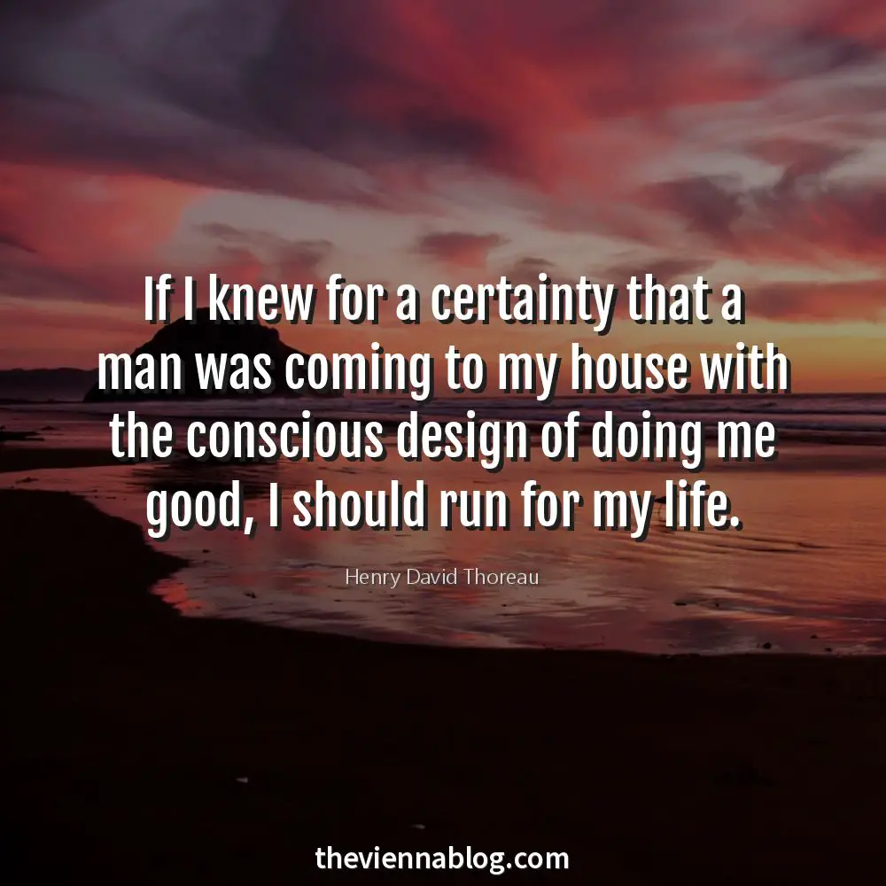 LifeQuotesMotivational_theviennablog