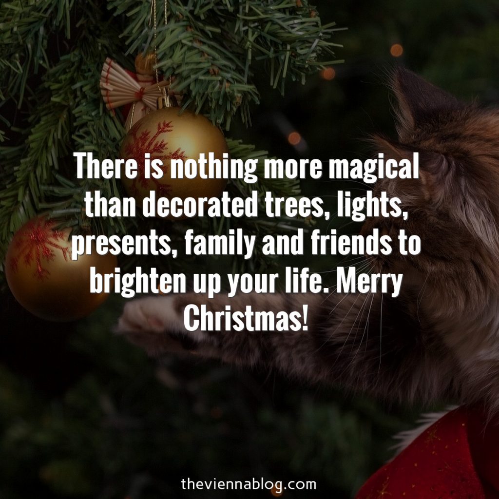 ChristmasQuotes_theviennablog