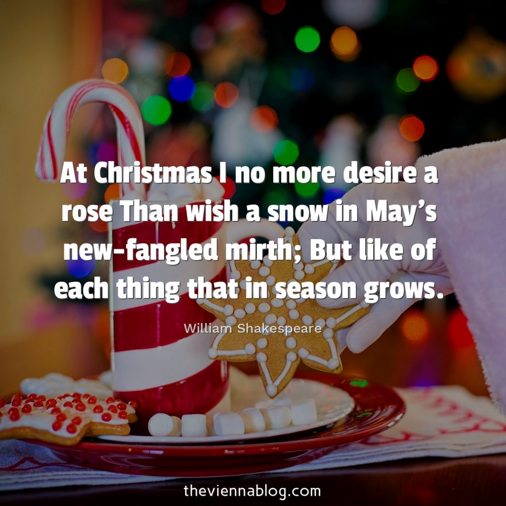 ChristmasQuotes_theviennablog