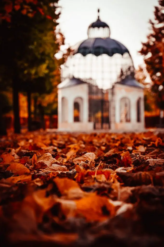 SchönbrunnVienna_TravelTips_theviennablog