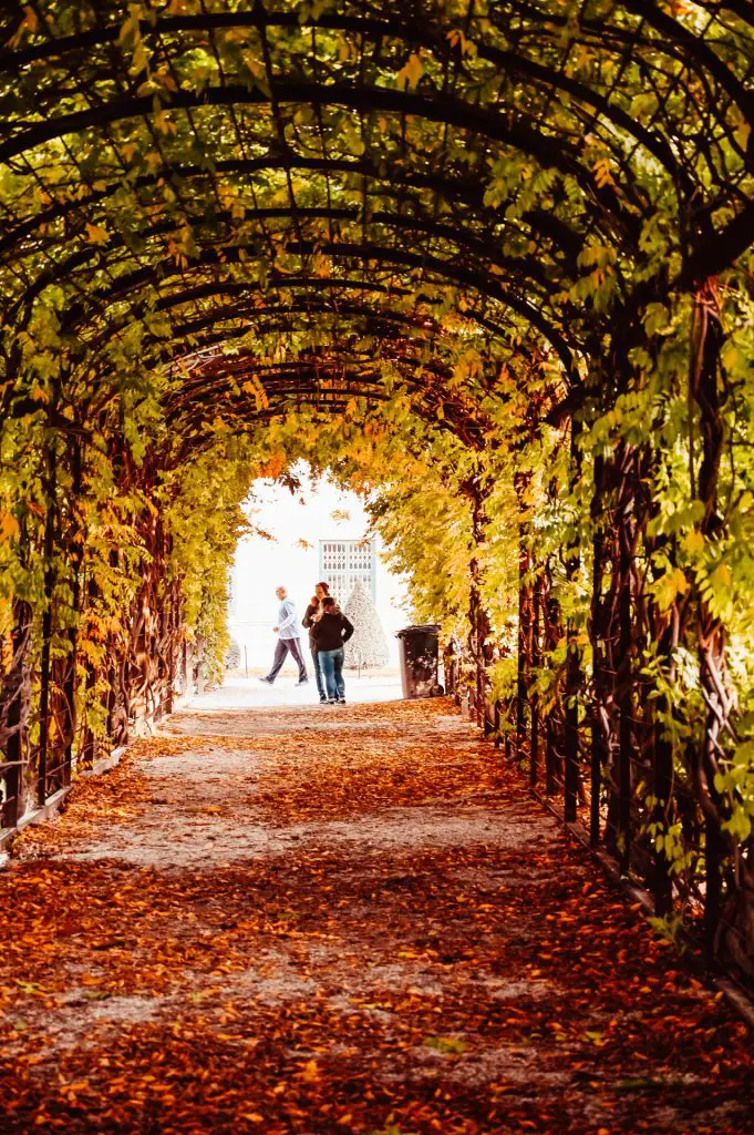 SchönbrunnVienna_TravelTips_theviennablog