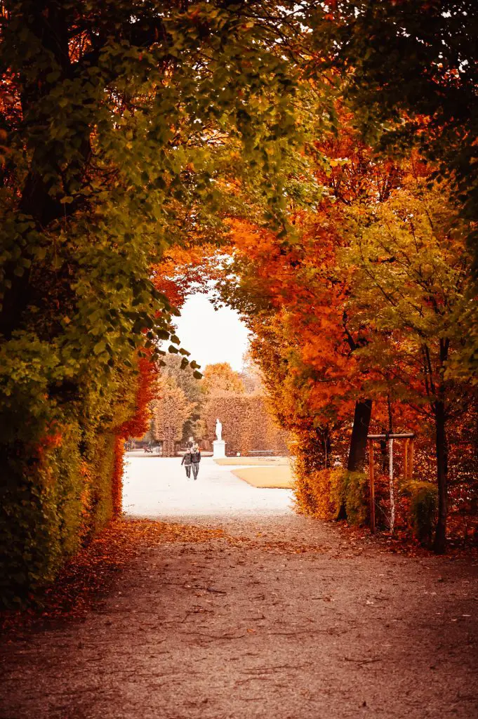 SchönbrunnVienna_TravelTips_theviennablog