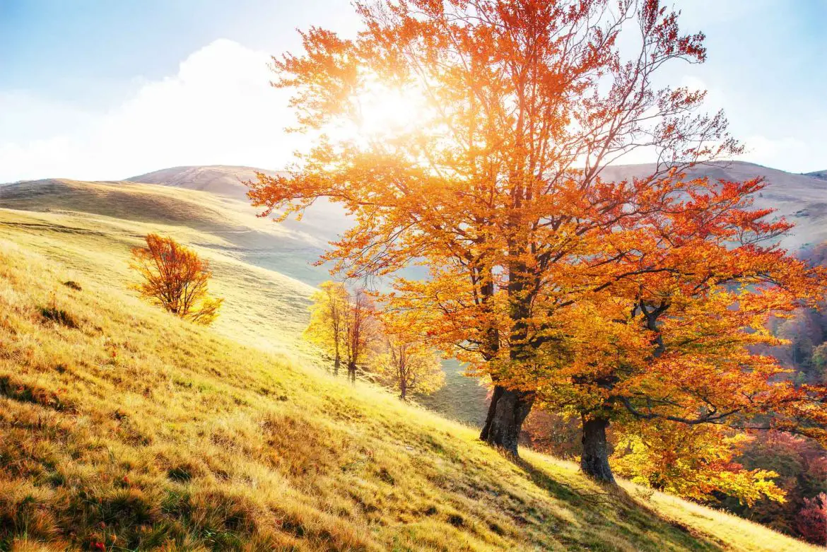 AutumnPhotographyTips