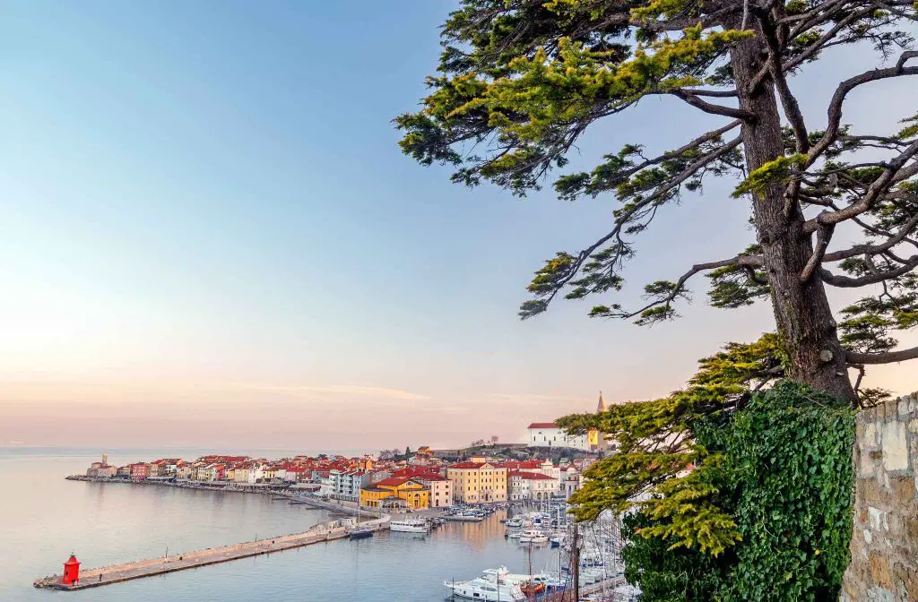 Panoramic view of old coastal town Piran, Slovenia