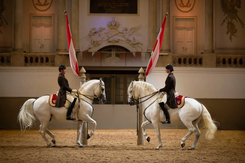 Spanish Riding School Vienna.Pas de Deux.© srs/renevanbakel.photo