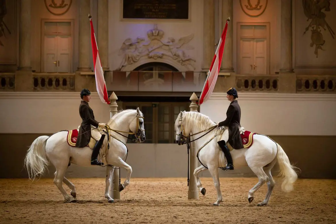 Spanish Riding School Vienna.Pas de Deux.© srs/renevanbakel.photo