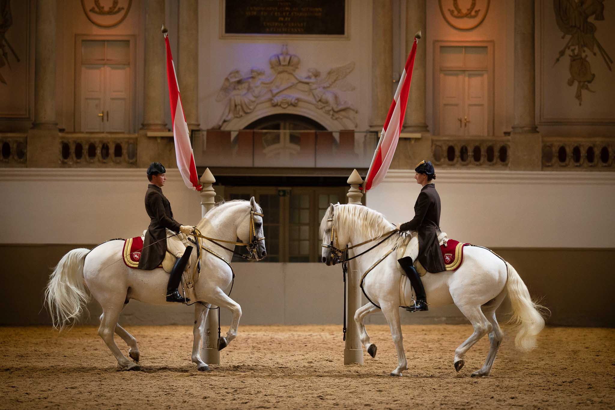 Spanish Riding School in Vienna Sightseeing Info and Tips The
