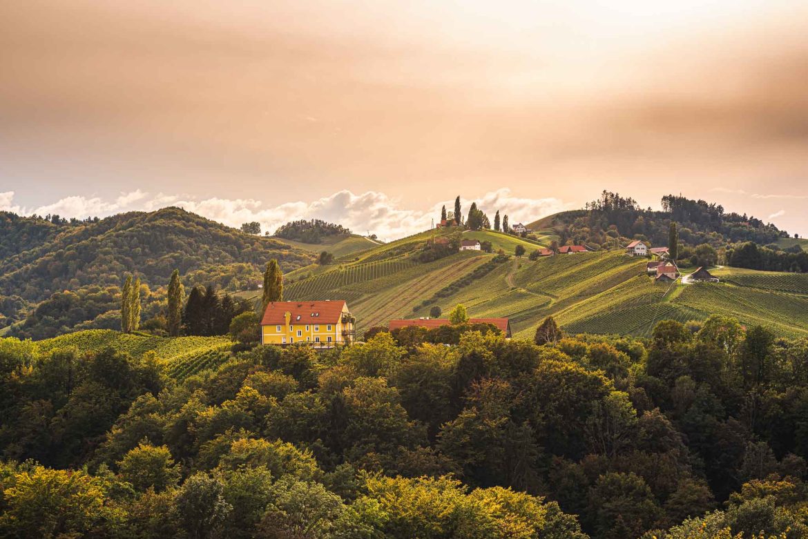Vineyards in South Styria, beginning of autumn. Austria Tuscany like spot.