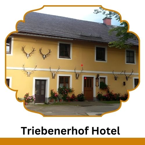 Triebenerhof Hotel
