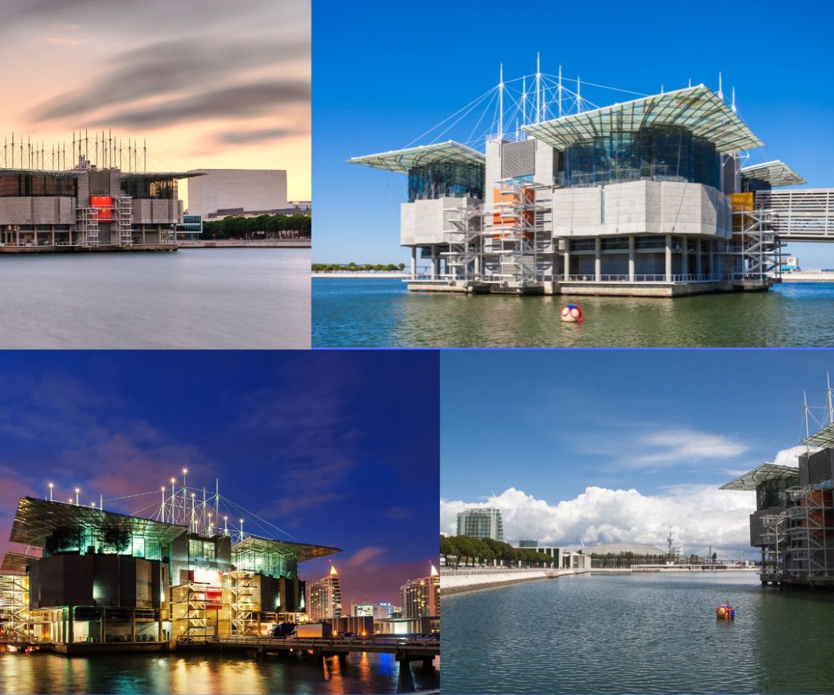 Lisbon Oceanarium Tickets